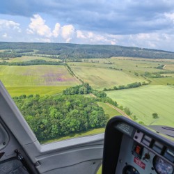 05.07.2025 - Börnichen